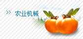 ũҵ��е